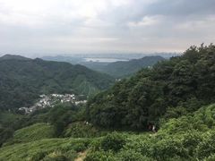 -龙井村