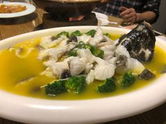 -新悦·霞浦海鲜生(上下杭店)