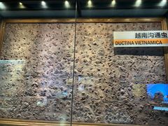 -湖南省地质博物馆