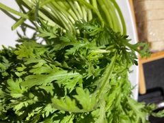 -蓉客成都火锅·招牌麻辣牛杂·特色香辣蹄花(凌水店)