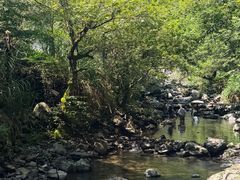 -石台牯牛降景区