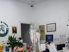 -中农国际动物医院24小时·猫科·骨科·急重症中心