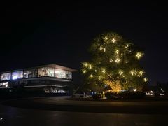 -云里小坐·海泉湾·团建·宴席·下午茶(金堂海泉湾店)
