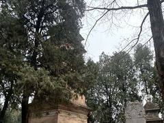 -兴教寺
