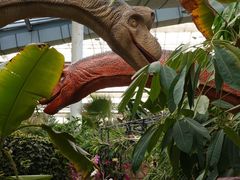 -沈阳植物园
