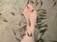 -宝丽金大酒店·洗浴中心