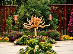 -上海共青森林公园