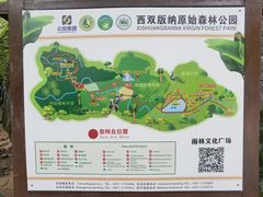 -西双版纳原始森林公园