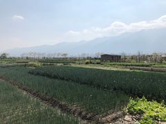 -翠田Green Field Kitchen