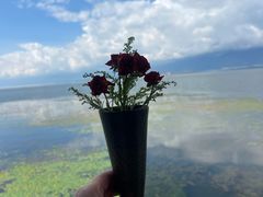 -六阅·福十 FORTEN 海景咖啡西餐厅(双廊古镇店)