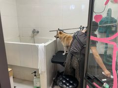 -悠尼宠物·独立低压伊珊娜洗护·美容·寄养(兰谷路店)