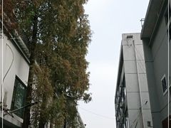 -虎哥私房菜(馒头山店)