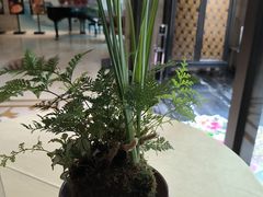 -洛阳宴·洛阳菜(南昌路店)