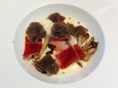 -蝶舍·MAISON PAPILLON