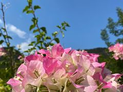 -明仕田园