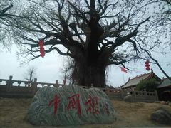 -大槐树寻根祭祖园