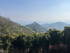-莫干山风景区