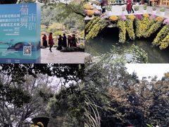 -杭州植物园