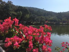 -沙河粉村·国家非遗传承(云台店)