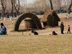 -长白岛森林公园