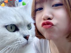 -喵屿·大理花园猫咖