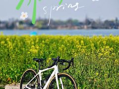 -西山漾湿地公园