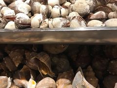 -日丰园海肠水饺·老字号大连海鲜(和平广场店)