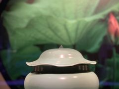 -四川宋瓷博物馆