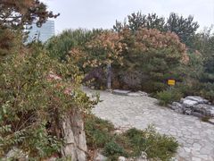 -大兴滨河森林公园