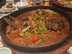 -老板恋上鱼(环山路店)