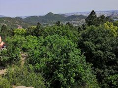 -灵岩山风景区