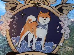 -北京市海淀外国语实验学校