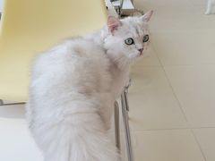 -怪兽屋·羊驼·猫咖·狗咖(俊华广场店)