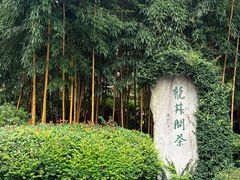 -十八棵（老龙井）御茶园(老龙井店)