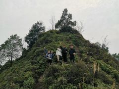 -南山植物园