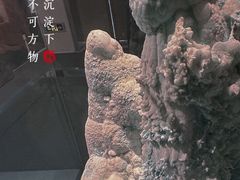 -中国地质博物馆