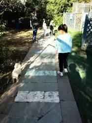 -萌宠亲子动物乐园(槐房万达店)