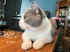 -后院儿·精酿·塔罗Happy Bar