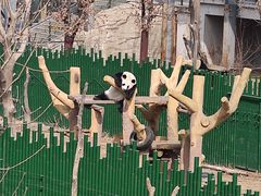 -沈阳森林动物园