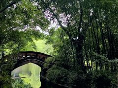 -望江楼公园