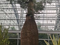 -南山植物园