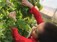 -万源龙顺度假庄园生态观光园