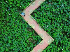 -广州莲花山旅游区