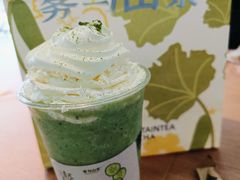 -雾与山茶(大禹城店)