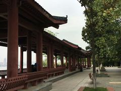 -武昌江滩
