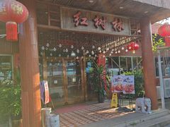 -崖口红树林海鲜餐厅