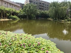 -陕西华浮宫酒店(未央湖公园店)