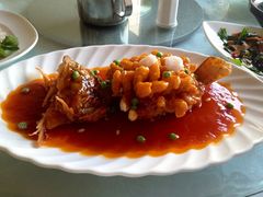 iphone_upload_pic-广玉兰上海菜(德平店)