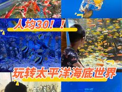 -太平洋海底世界