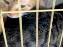 -昼夜咖啡馆